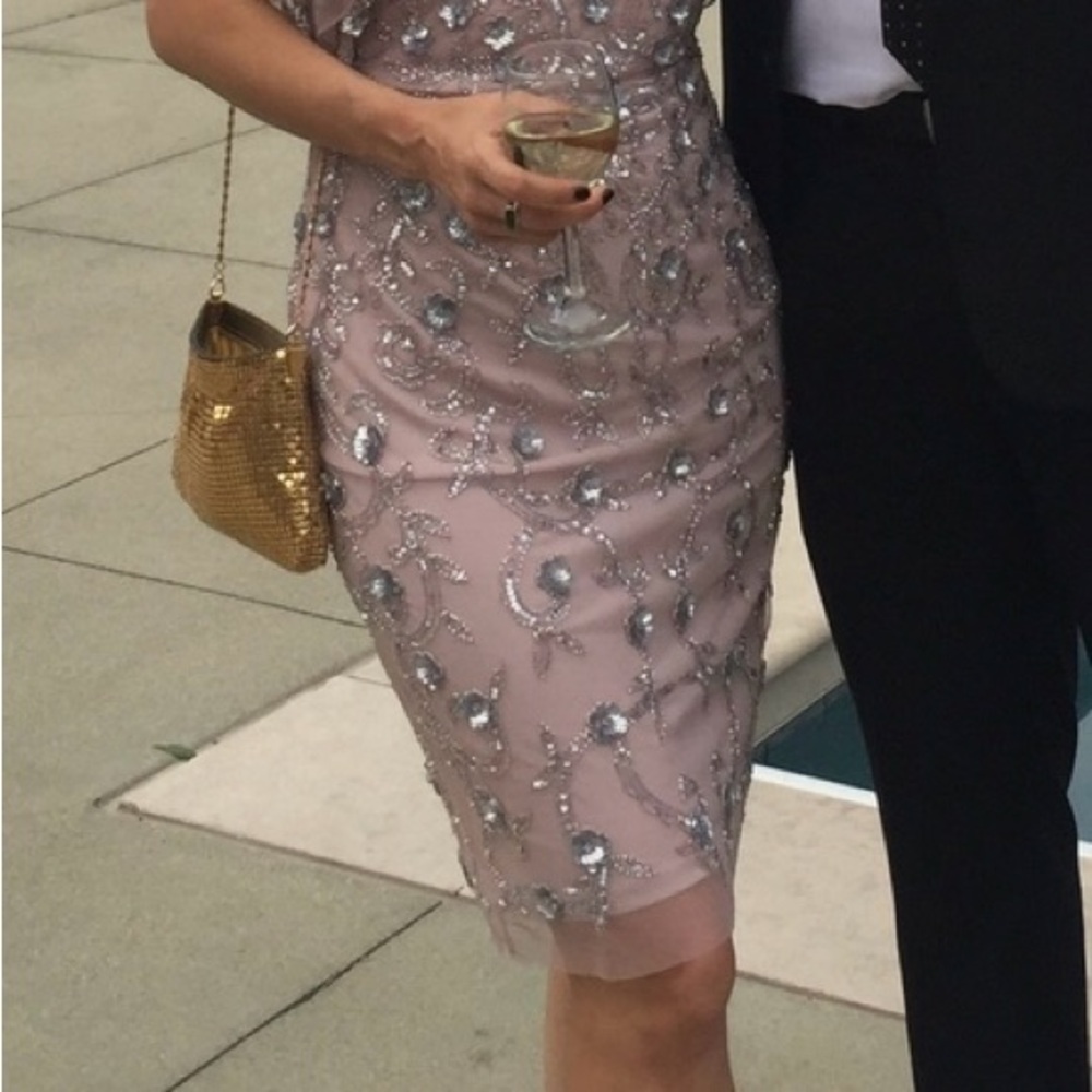 Anthropologie Pink Embellished Dress